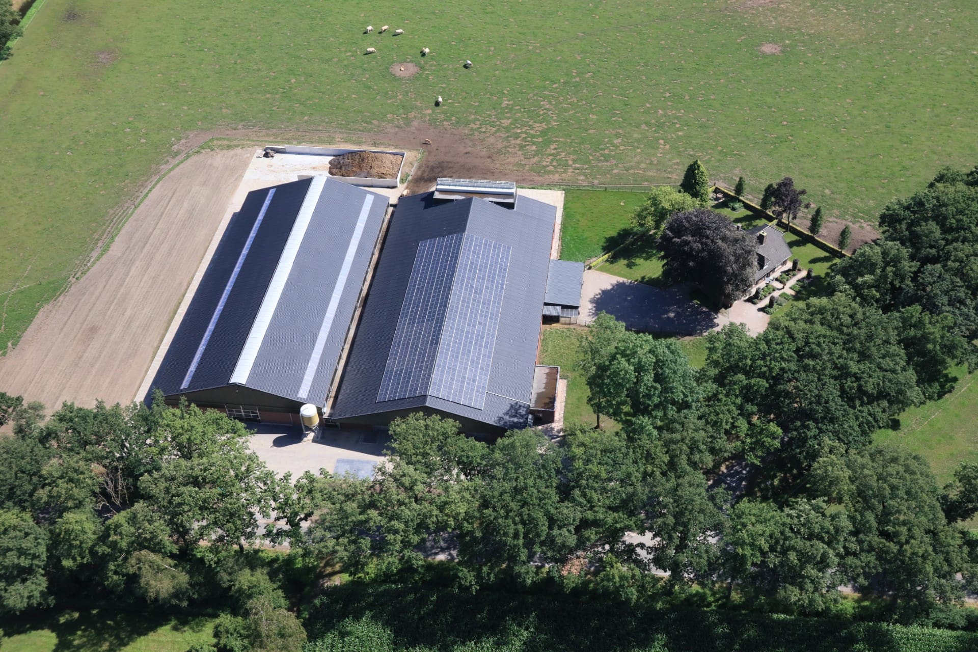 Drone foto koeienstal in Deurne